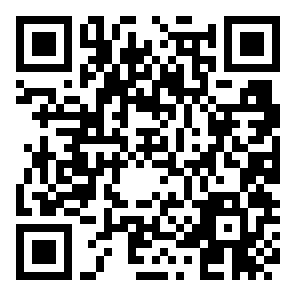 QR на бота в MAX